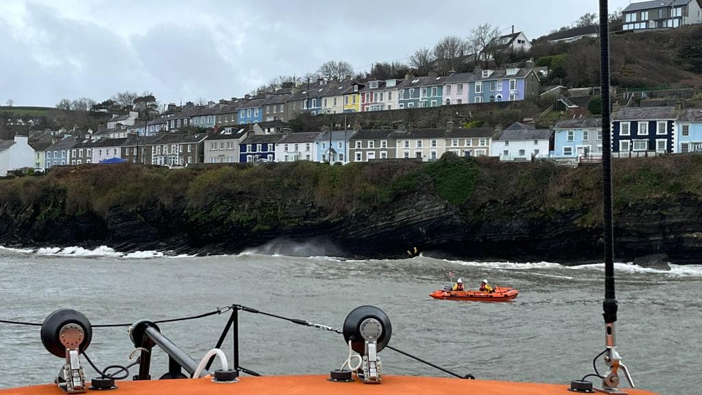 Stranded dog rescued after cliff fall | cambrian-news.co.uk